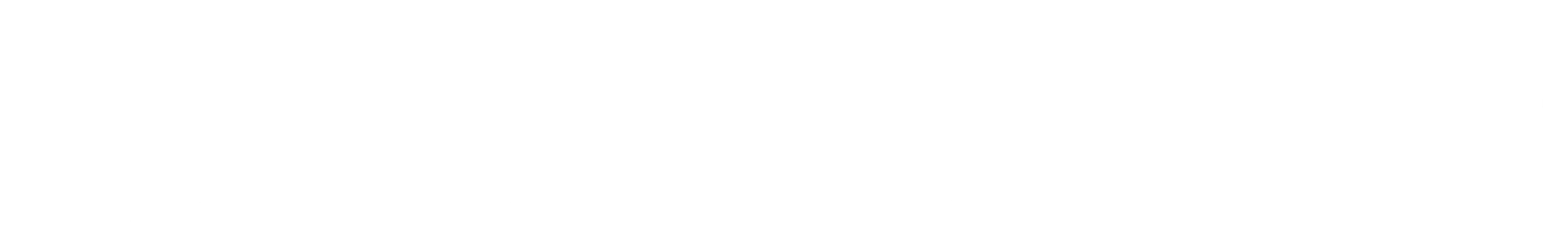 Bluechip Automotive Limited Logo