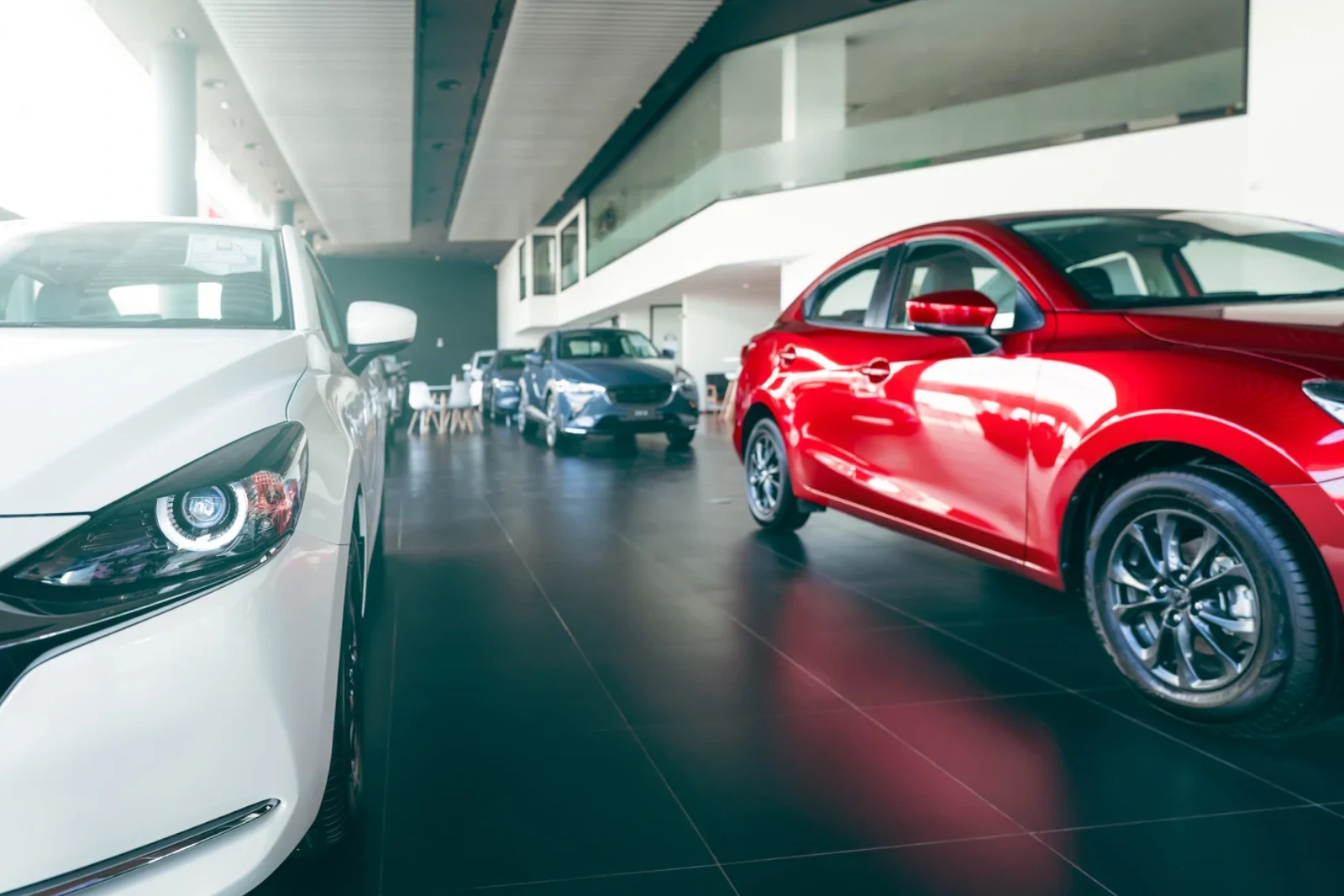 Showroom-ready cars lined up at a dealership